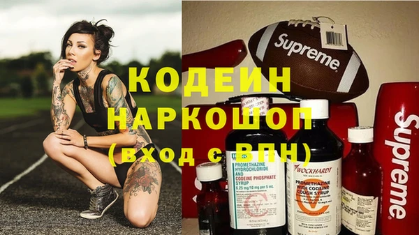 a pvp Бородино