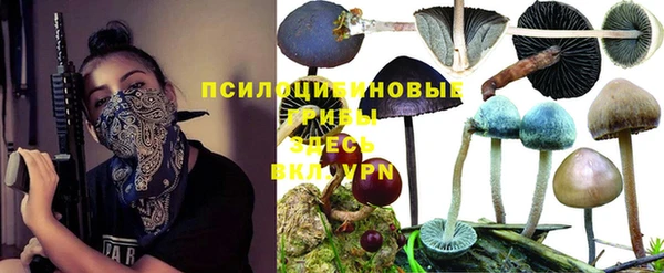 альфа пвп Бугульма