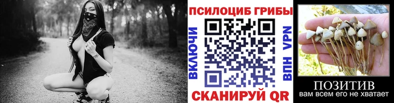 Купить  Новодвинск  Псилоцибиновые грибы Magic Shrooms 
