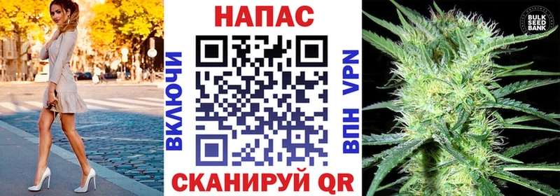 Марихуана ГИДРОПОН  Купить где  Новодвинск 